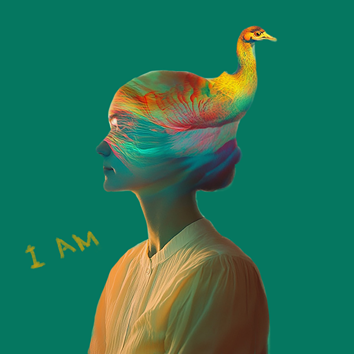 Un vuelo hacia la imaginación, obra 1
